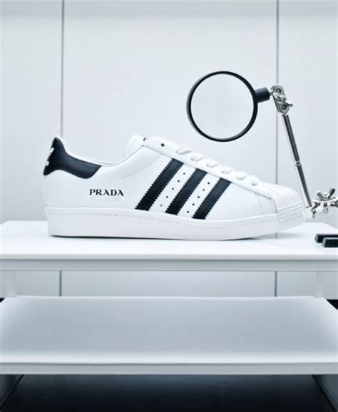 where to buy prada adidas|adidas prada official site.